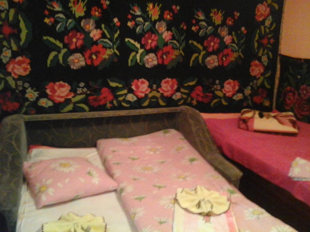 La Popas Hotel Orhei Esterno foto