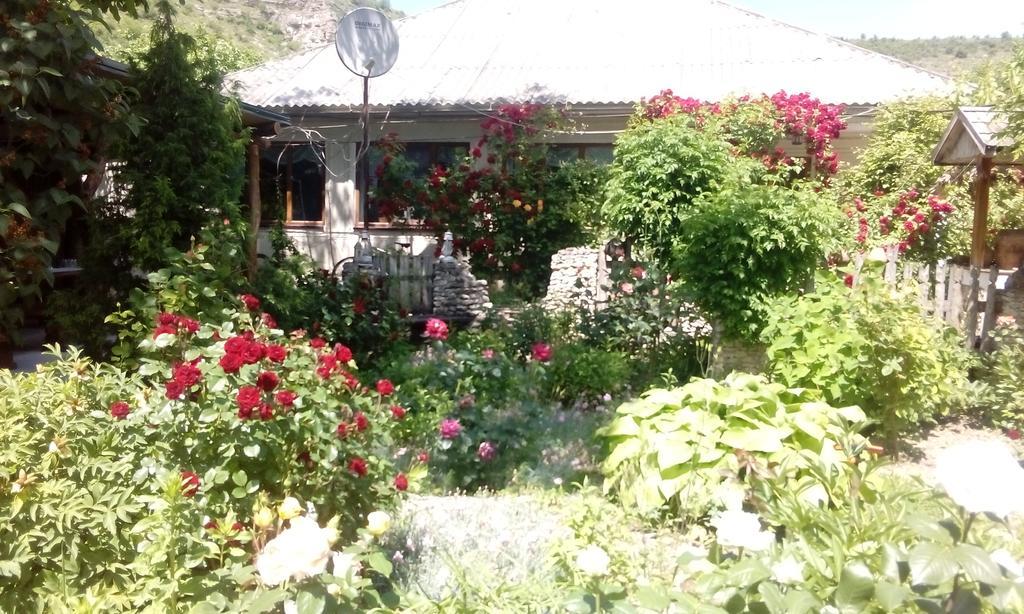 La Popas Hotel Orhei Esterno foto